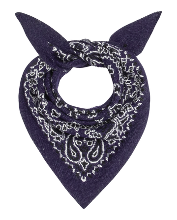 The Bandana Kerchief by THE GREAT. H25 COLLECTION features a navy blue color with white paisley pattern, folded and tied with two pointed ends at the top.