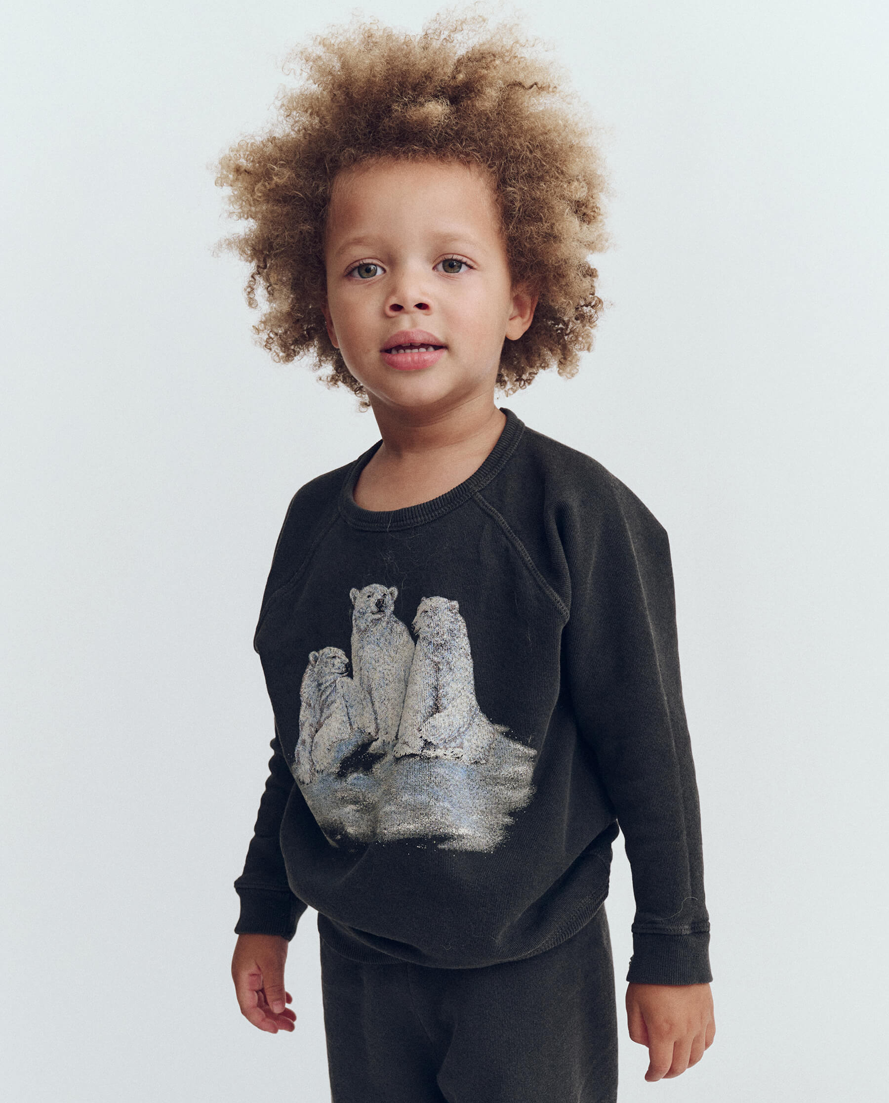 The Little College Sweatshirt. -- Washed Black with Polar Bear Graphic SWEATSHIRTS THE GREAT. HOL 23 D1 LITTLE