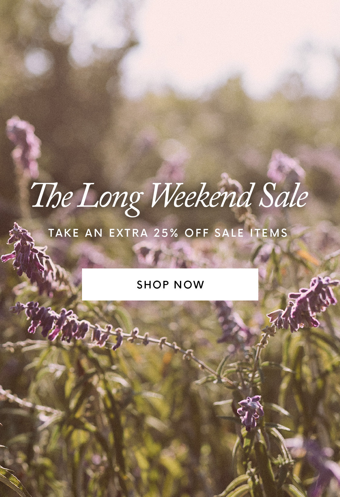 Text overlay on a blurred image of purple flowers reads: "The Long Weekend Sale. Take an extra 25% off sale items. Shop Now.