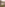 Text overlay on a blurred image of purple flowers reads: "The Long Weekend Sale. Take an extra 25% off sale items. Shop Now.