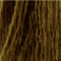 Close-up of brown hair strands.