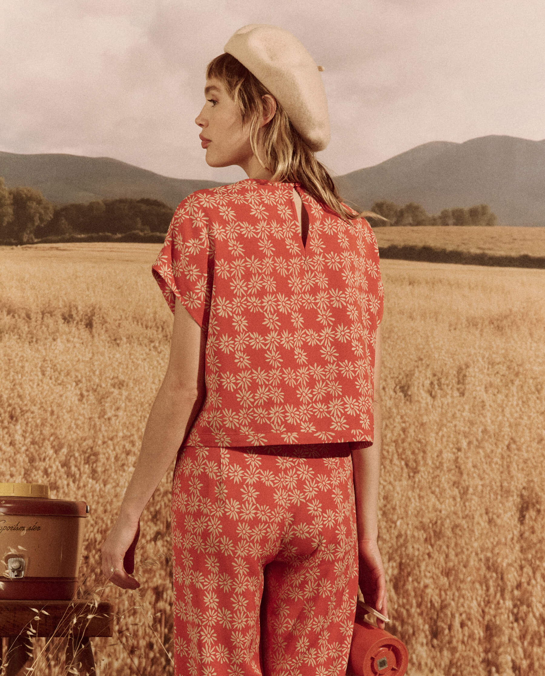 The Wander Top. -- Desert Red Scattered Daisy