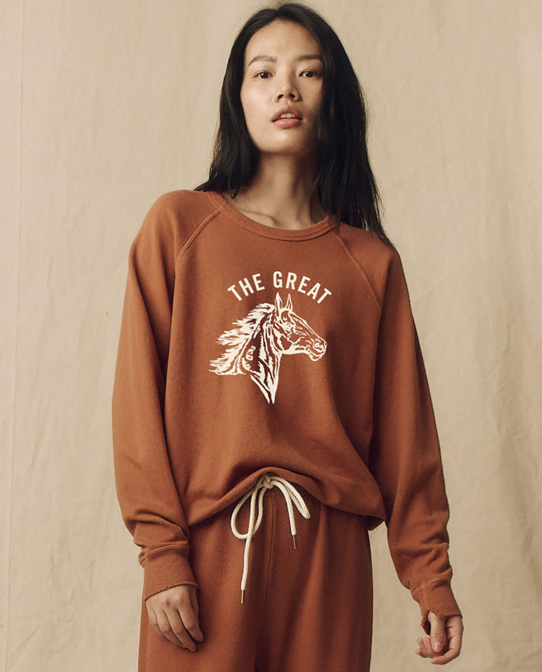 The College Sweatshirt. Graphic -- Canyon with Cream Bronco Graphic
