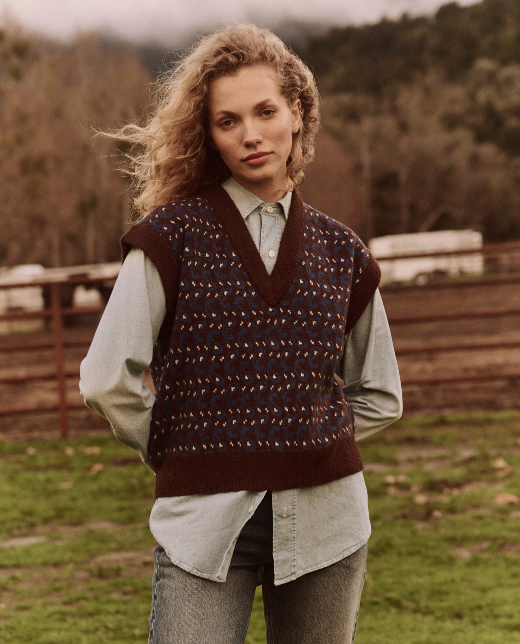 The Sweater Vest. -- Driftwood Paisley VEST THE GREAT. FALL 24 D2