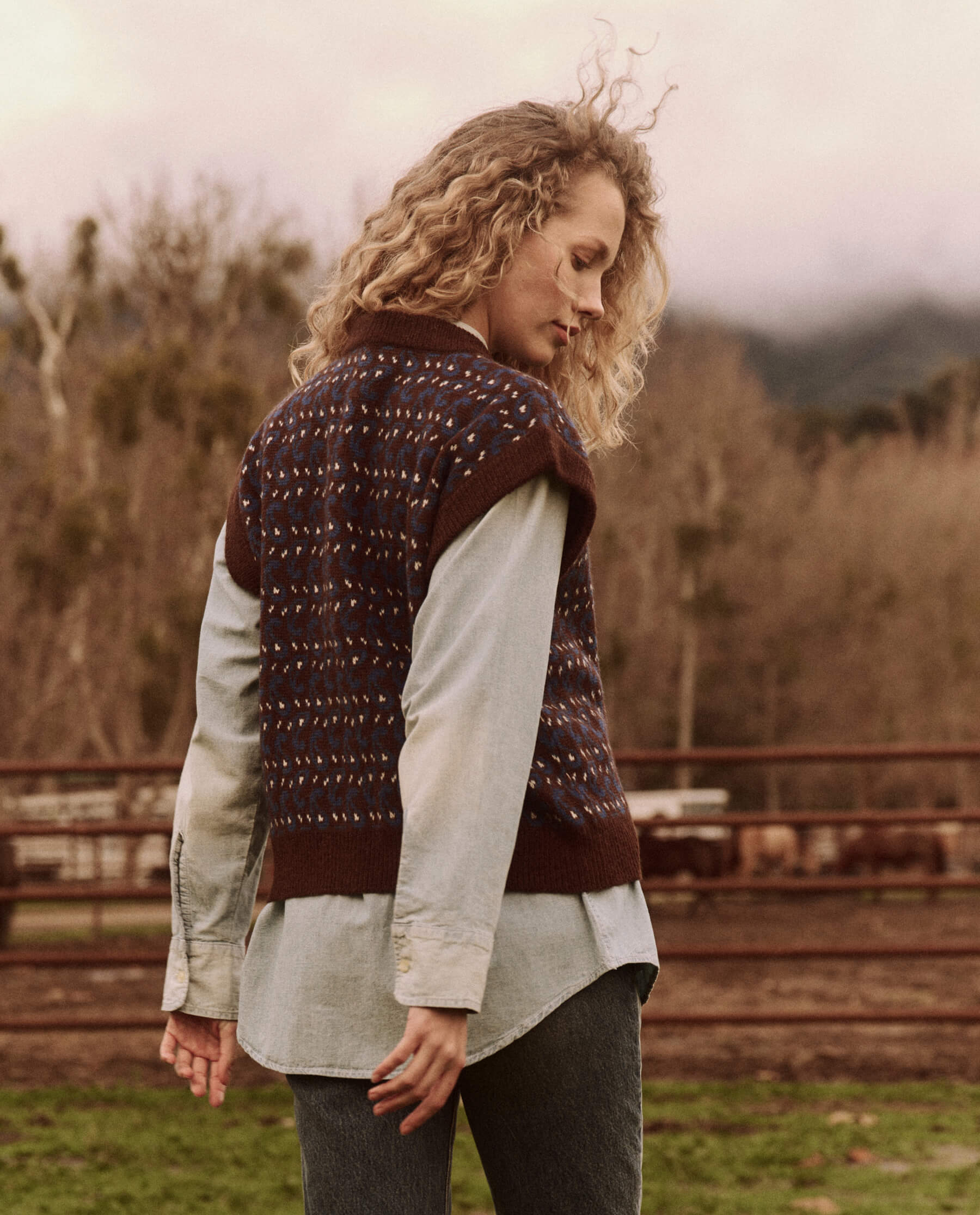 The Sweater Vest. -- Driftwood Paisley VEST THE GREAT. FALL 24 D2