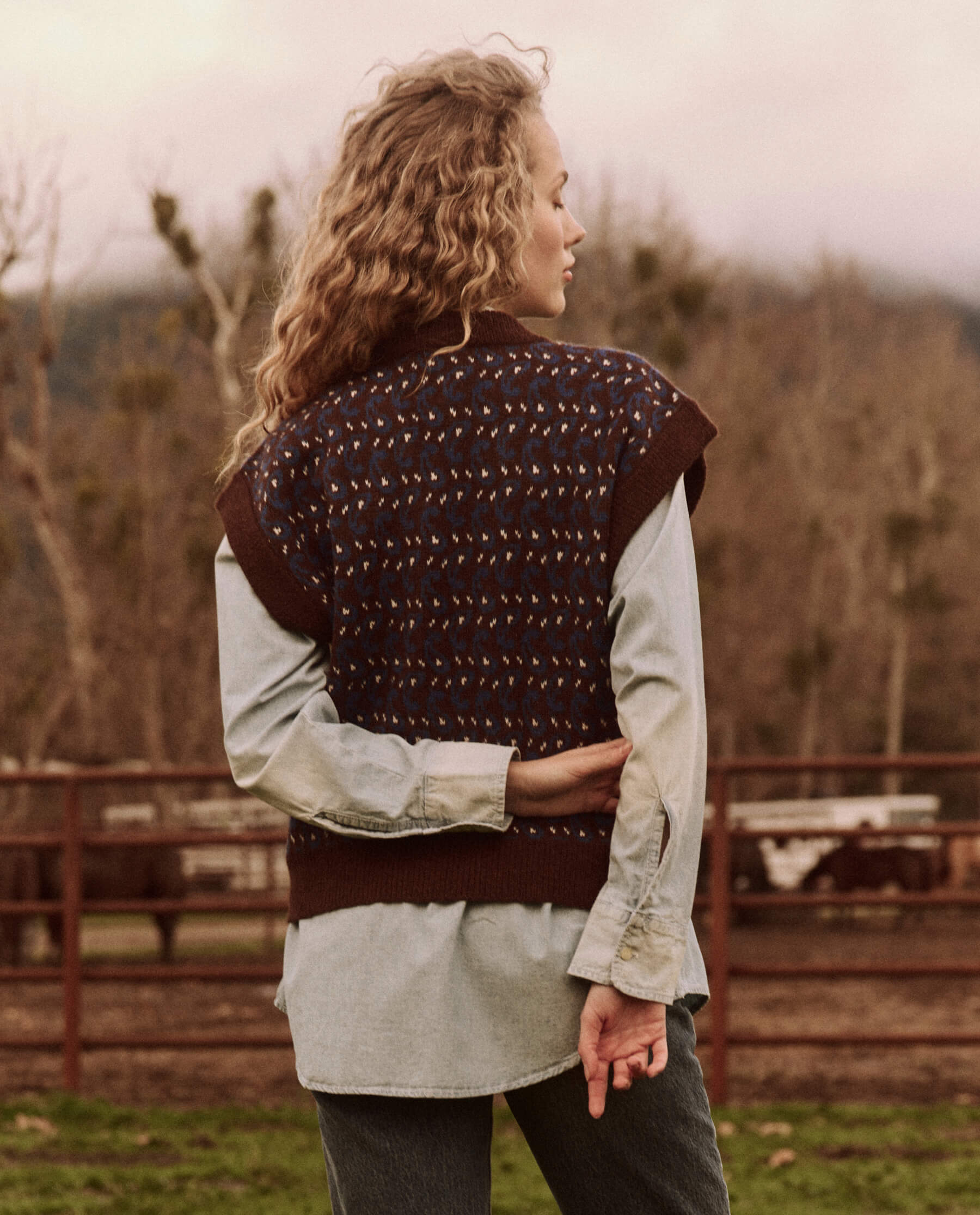 The Sweater Vest. -- Driftwood Paisley VEST THE GREAT. FALL 24 D2