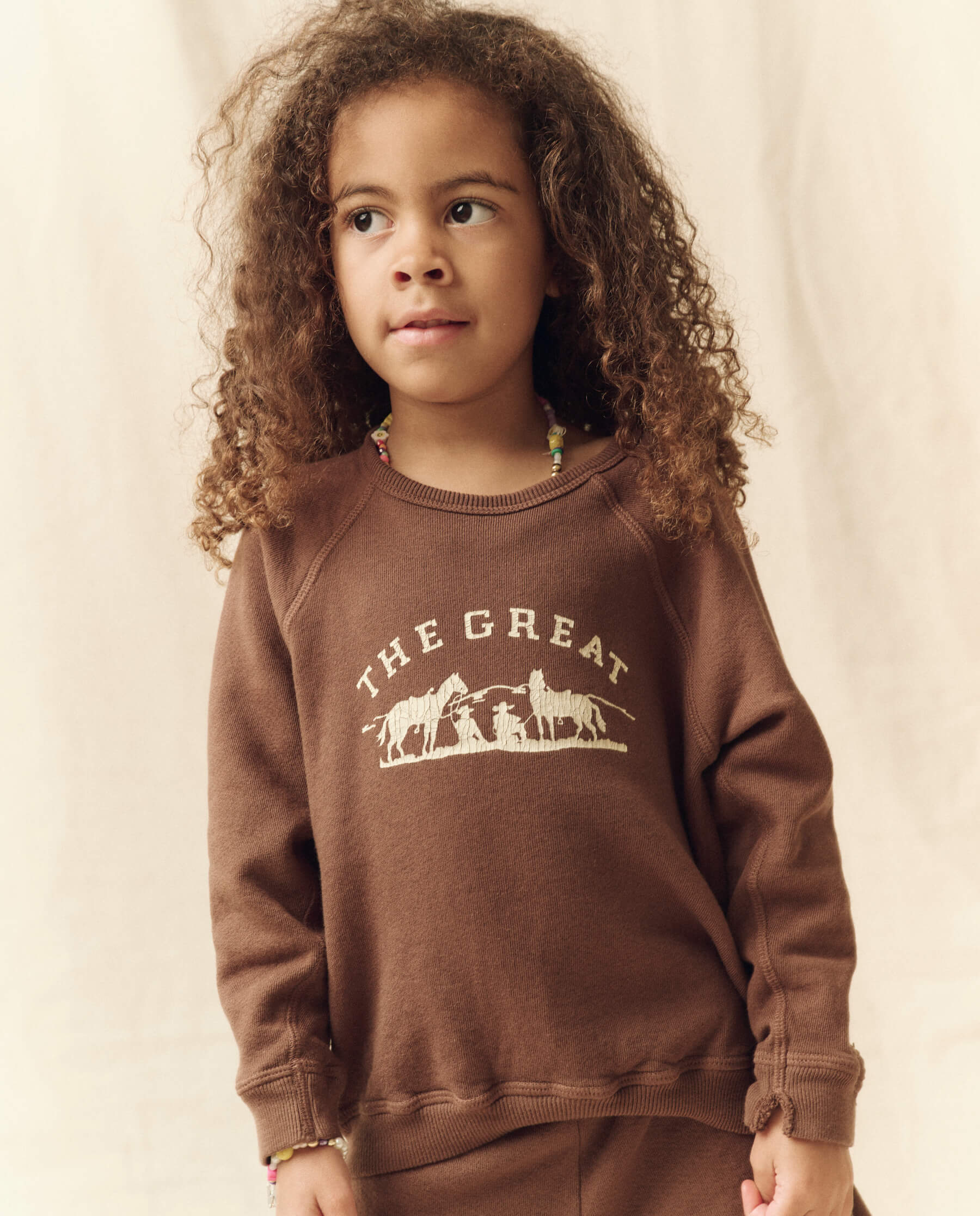 The Little College Sweatshirt. -- Hickory with Gaucho Graphic