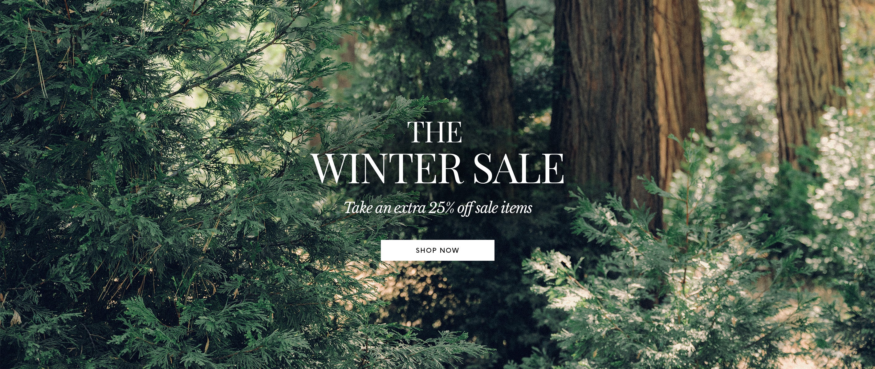 Text overlay on a forest background reads: "The Winter Sale. Take an extra 25% off sale items." A white "Shop Now" button is below the text.