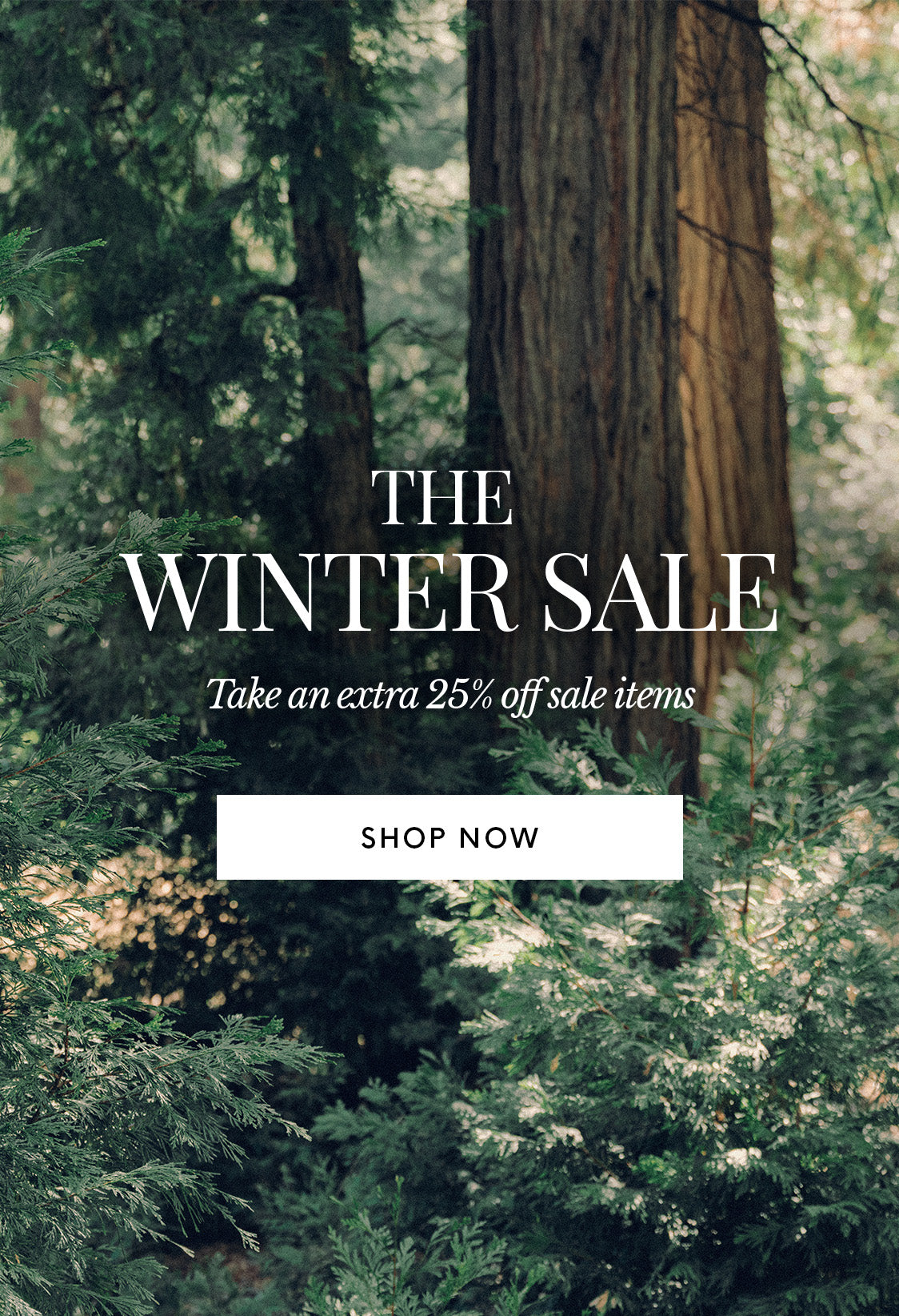 Text overlay reads "The Winter Sale. Take an extra 25% off sale items. Shop Now" against a background of tall trees and green foliage.