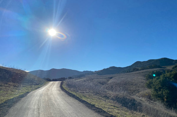 THE GREAT. | Official Website – The Great.